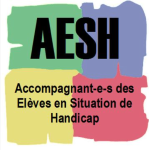 Stage AESH 21 Janvier 2025 à Chambéry