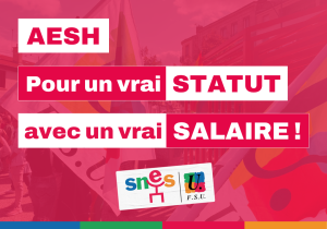 Pour la création d'un corps d'AESH : mobilisation le mardi 16&nbsp;(…)