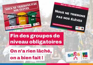 Groupe de niveau : une avancée à confirmer !